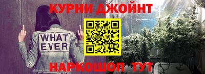 стаф Будённовск