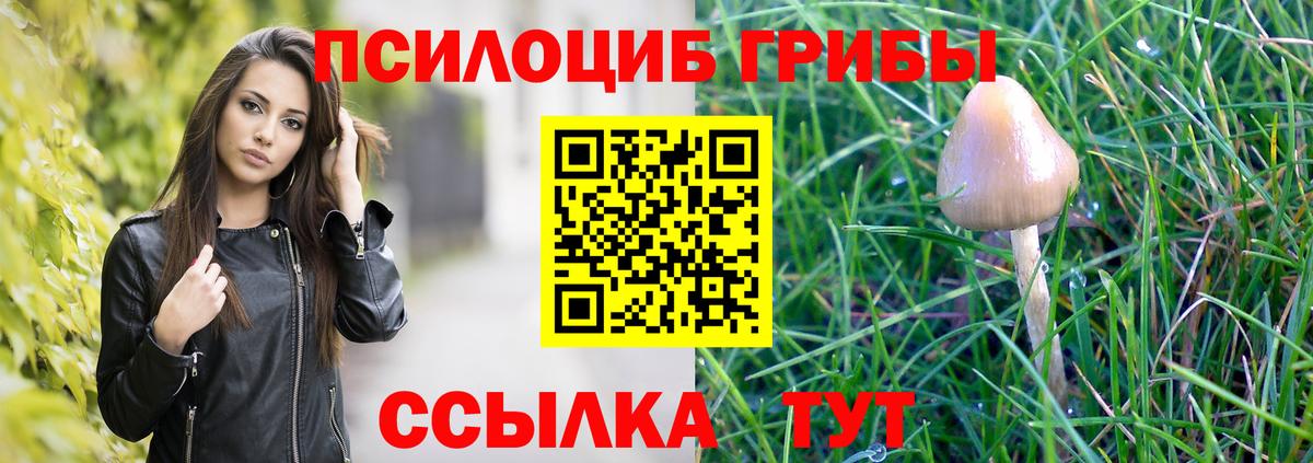 Псилоцибиновые грибы мухоморы  купить наркоту  Вход с VPN  Новокузнецк  Галлюциногенные грибы мухоморы 